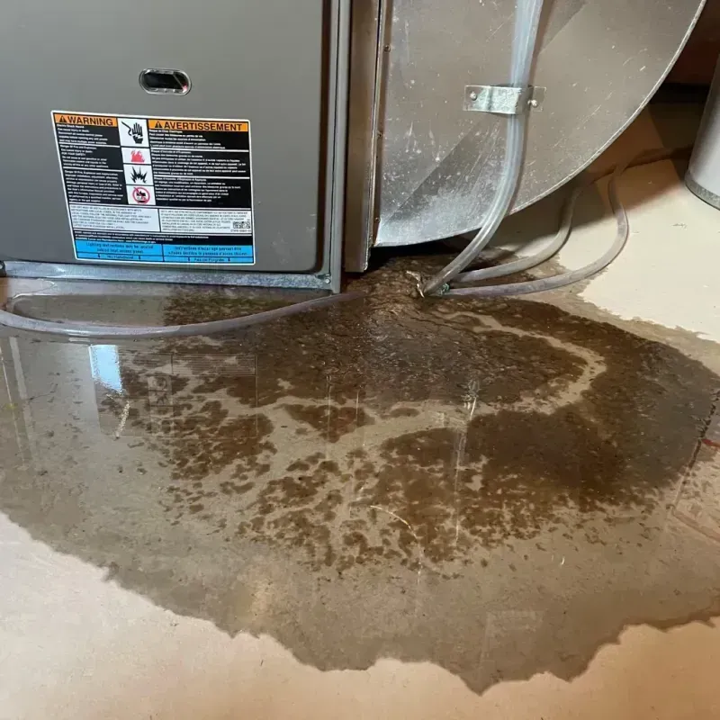 Appliance Leak Cleanup in Lake Nebagamon, WI